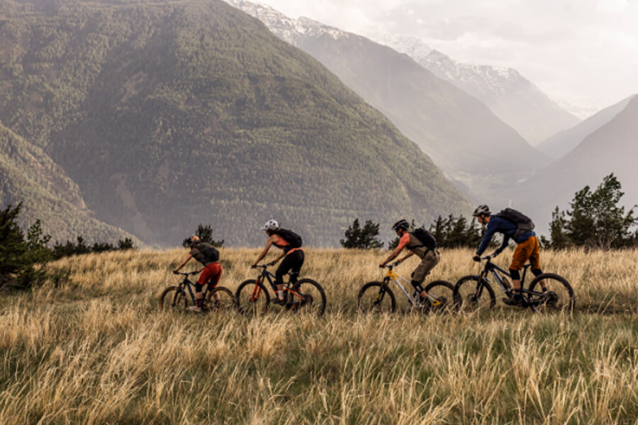 MTB